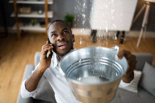 Best Mold removal after water damage  in Jefferson Valley Yorktown, NY