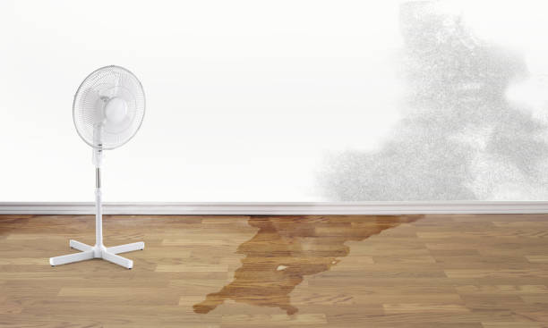 Best Ceiling water damage repair  in Jefferson Valley Yorktown, NY