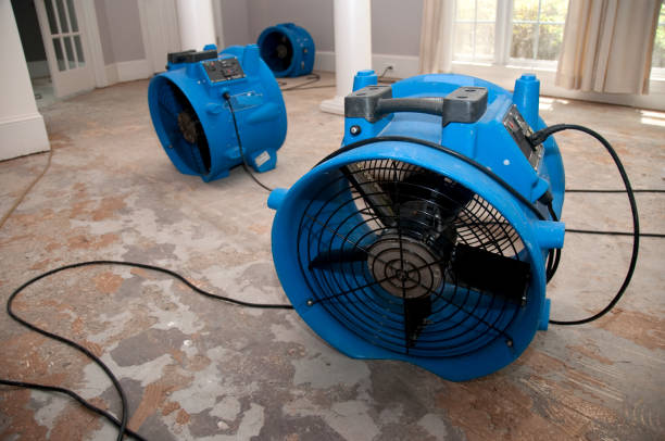 Best Flood damage cleanup  in Jefferson Valley Yorktown, NY