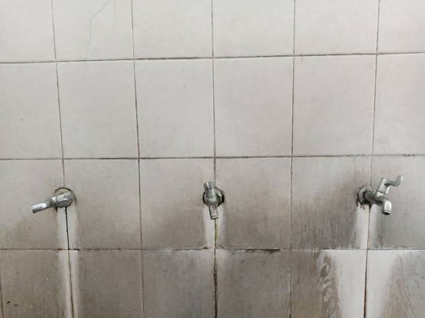 Best Fire Damage Restoration  in Jefferson Valley Yorktown, NY