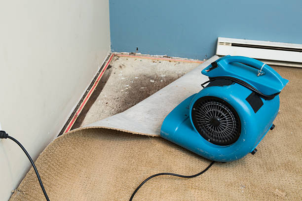 Jefferson Valley Yorktown, NY Water damage restoration Company