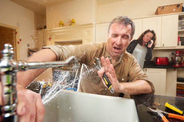 Best Water damage cleanup near me  in Jefferson Valley Yorktown, NY